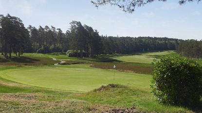 Swinley Forest Golf Club Course Review | Golf Monthly