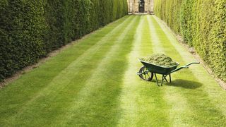 How to mow stripes in your lawn