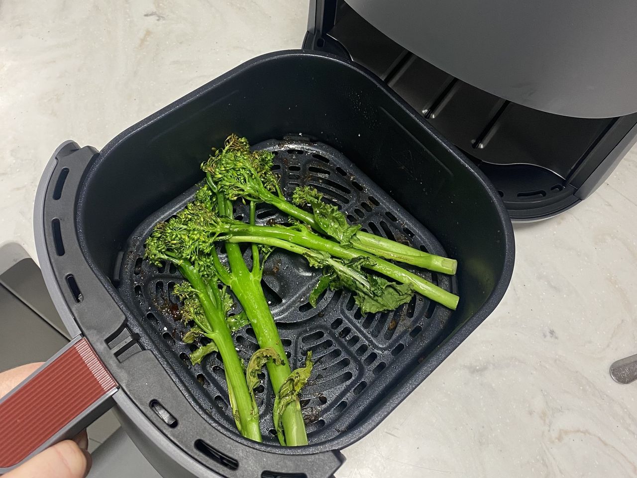 Testing the COSORI Lite Air Fryer