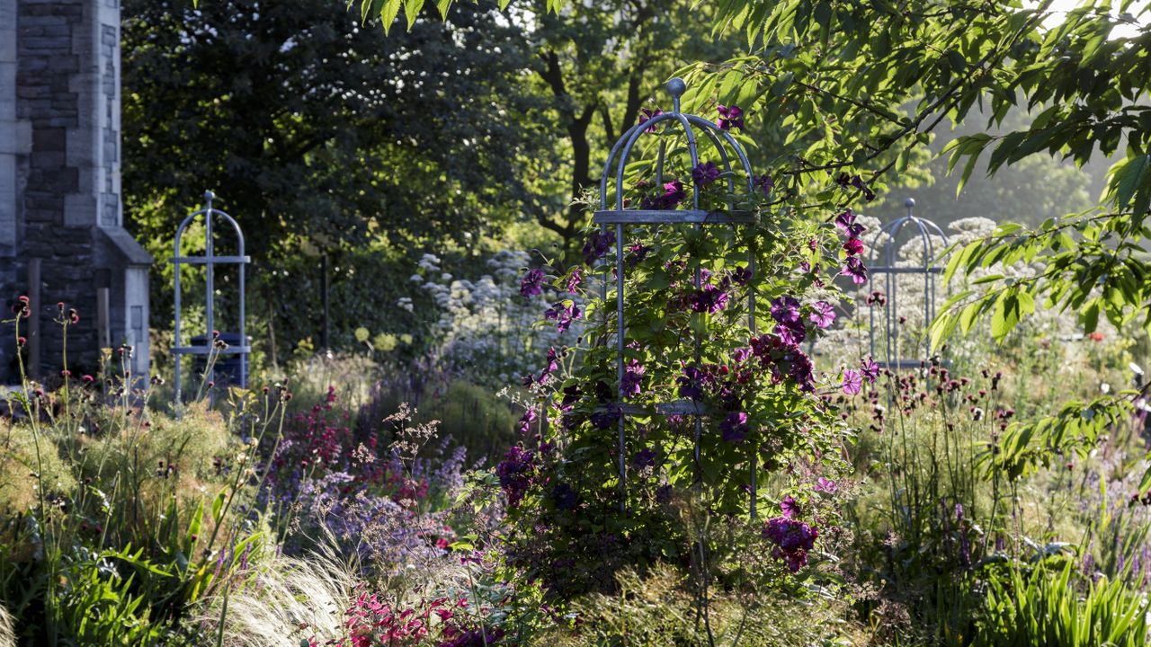 sun mapping a garden