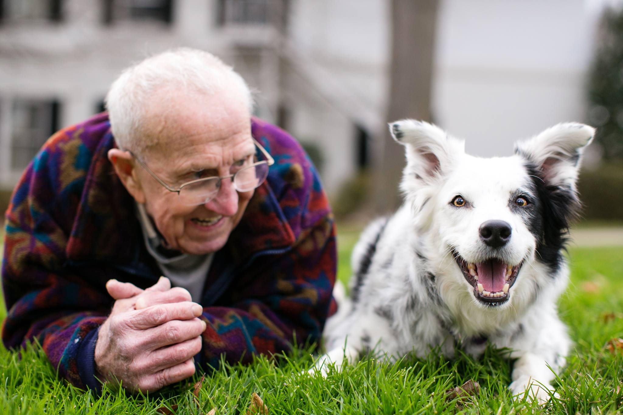 Chaser, the border collie known for her exceptional intelligence, lying on grass beside her owner and trainer John Pilley, a retired psychology professor, outside a house.