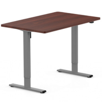 Flexispot Seiffen Laminated Standing Desk: $309.99