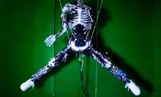 WBSB×HUMAN ROBOT PANDEAD(Chinchiro) 3体 わ*ん様 WBSB×HUMAN ROBOT