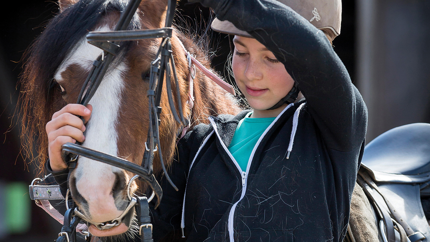 EY3ENK Domestic Horse. Girl snaffling a bay adult. Sequence: 4 of 5. Germany