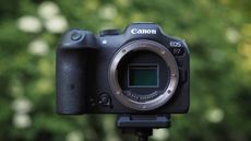 Canon EOS R7 sample
