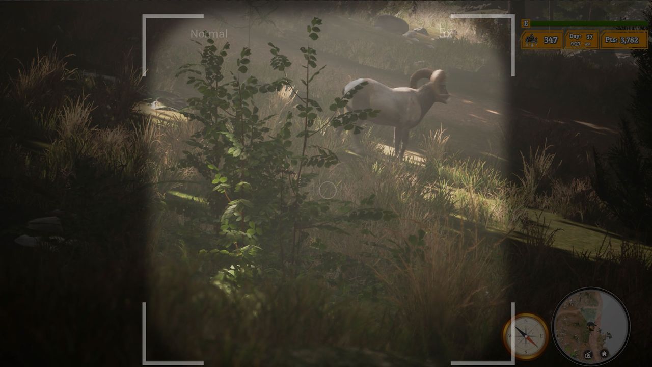 Morels: The Hunt 2 screenshot