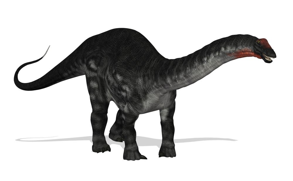 Mokele-Mbembe: The Living Dinosaurs People Thought Lived In The