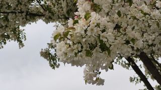 Xiaomi Mi 10 Pro 5G camera samples