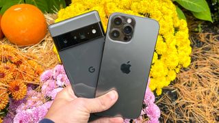 pixel 6 pro vs iphone 13 pro max: both phones in hand with flowers in the background