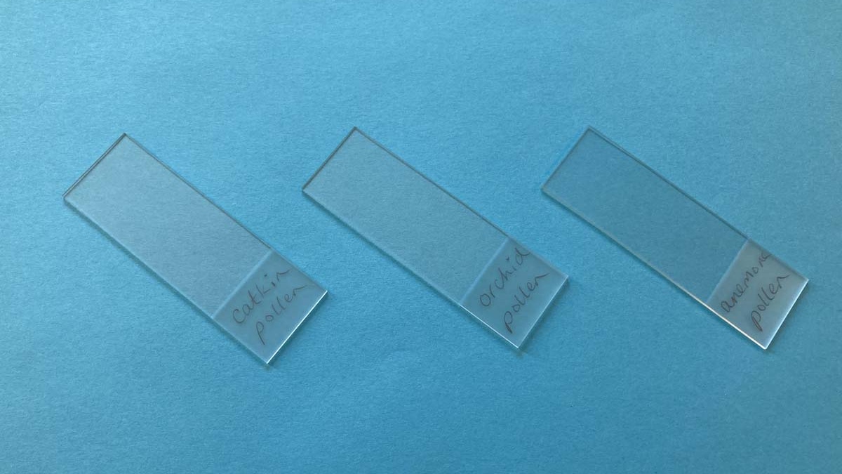 microscope slides