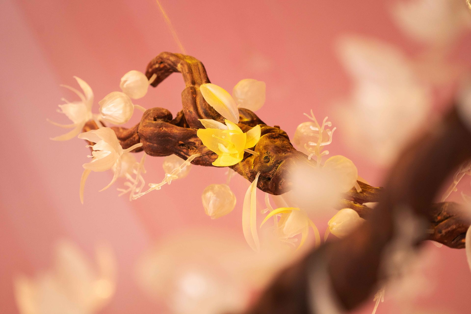 Fernando Laposse Maison Perrier-Jouët Design Miami