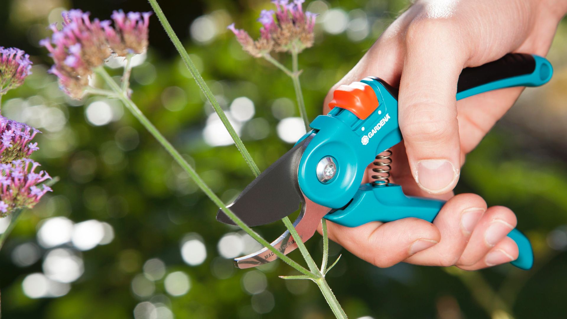 The gardening gadgets and tools you should buy in Amazon’s spring sale – picked by an expert