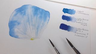 how to paint a petal step images