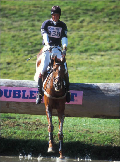 fox-pitt.jpg