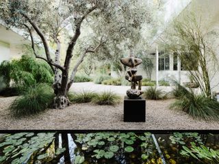 overgrown garden and sculpture on the grounds of clear oak, a renovated modernist house in la