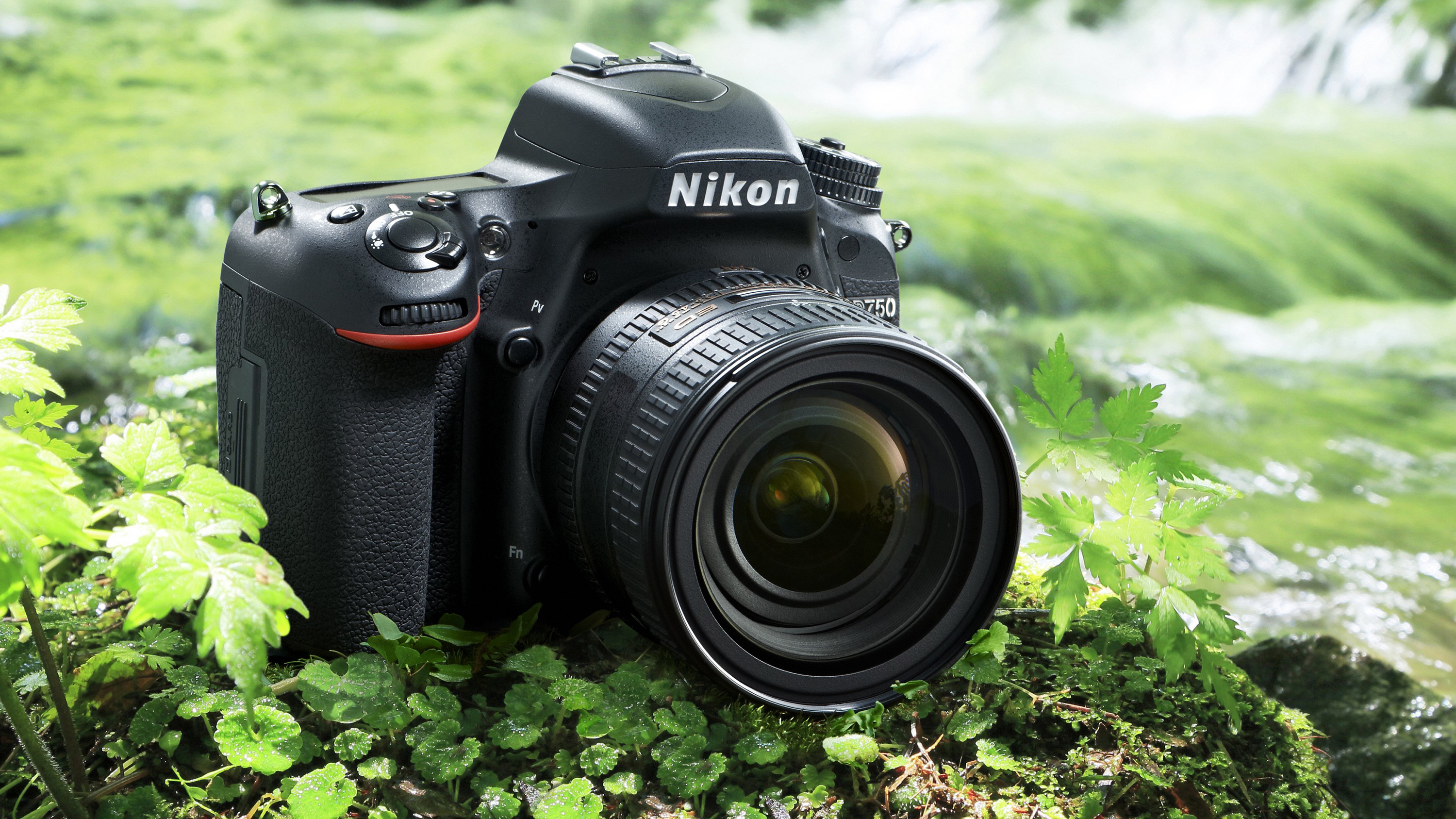 best DSLR camera Nikon D750 surrounded by greenery