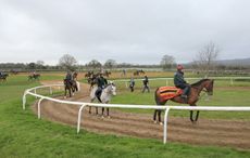 4-gallops.jpg