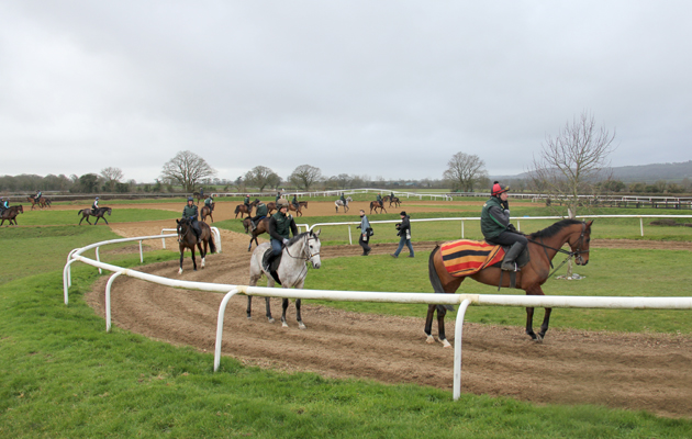 4 gallops