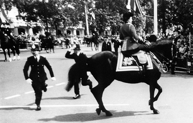 Burmese-1981-PA-5545625.jpg