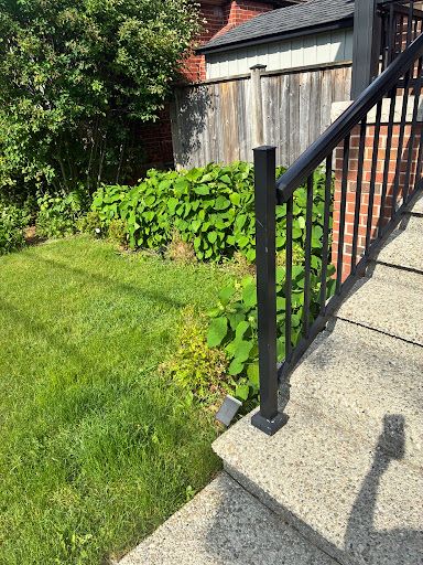 A visual of hydrangeas on the left side of a home