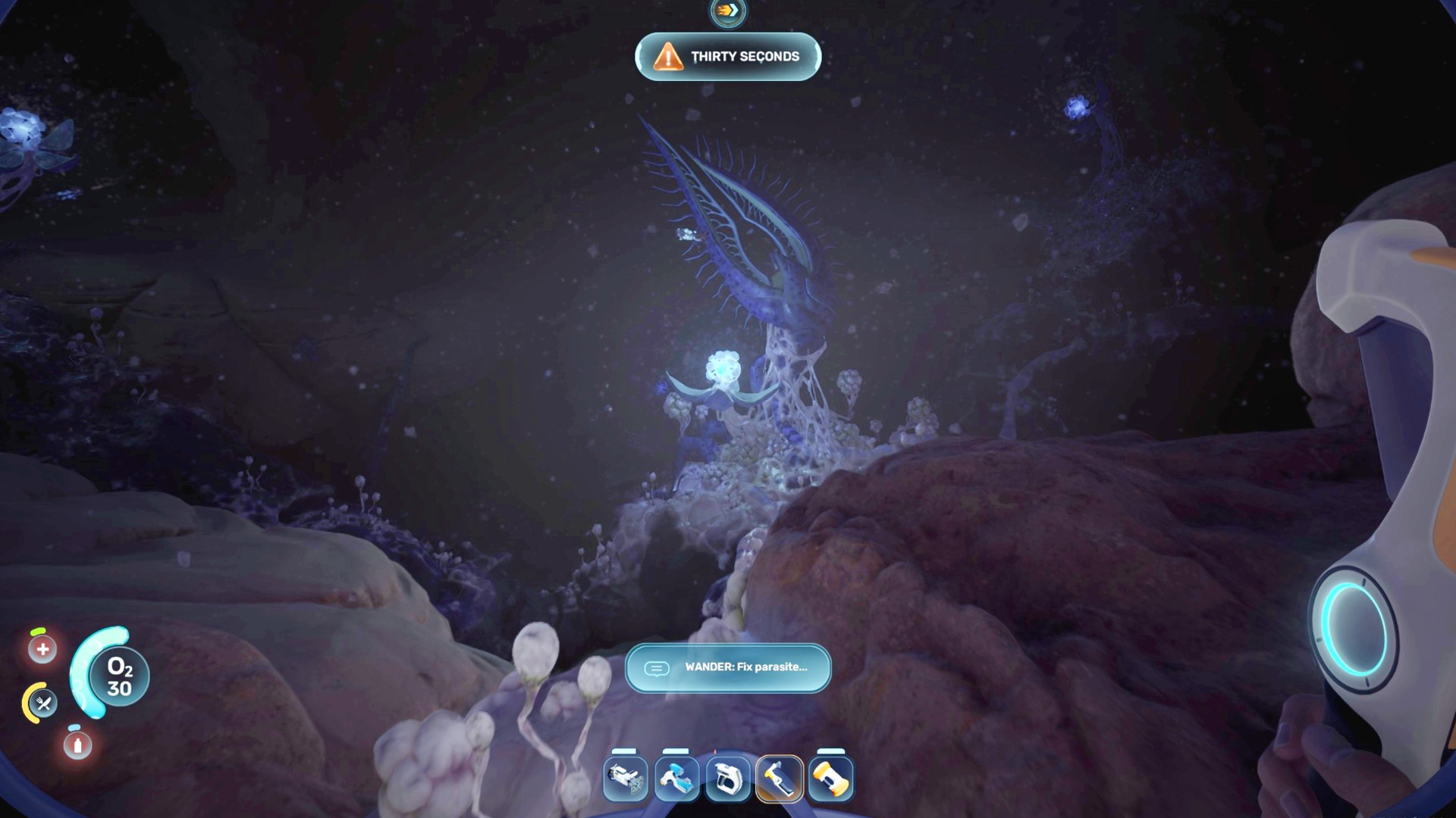 One of the Angel Comb's children in Subnautica 2 and a glowing Bloom Canker
