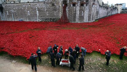 Volunteers begin removing the Tower of London poppies