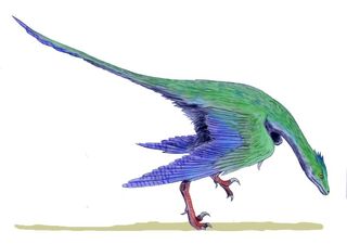 Rahonavis, avian ancestors, flying dinosaurs, feathered dinosaurs