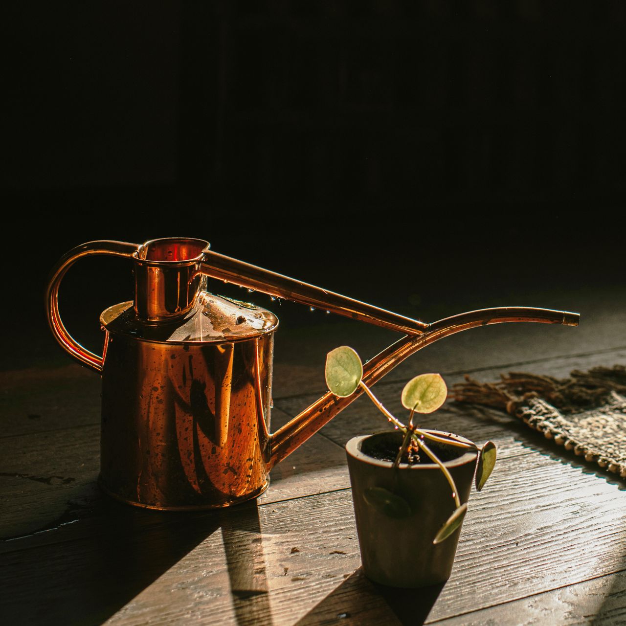 Haws copper watering can on floor with plant