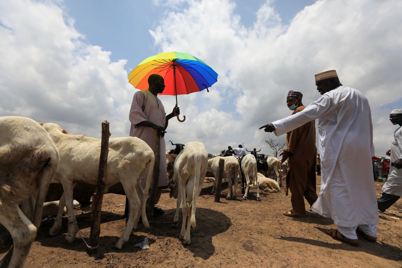 A livestock sale.