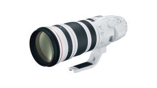 Canon EF 200-400mm f/4L IS USM Extender 1.4x
