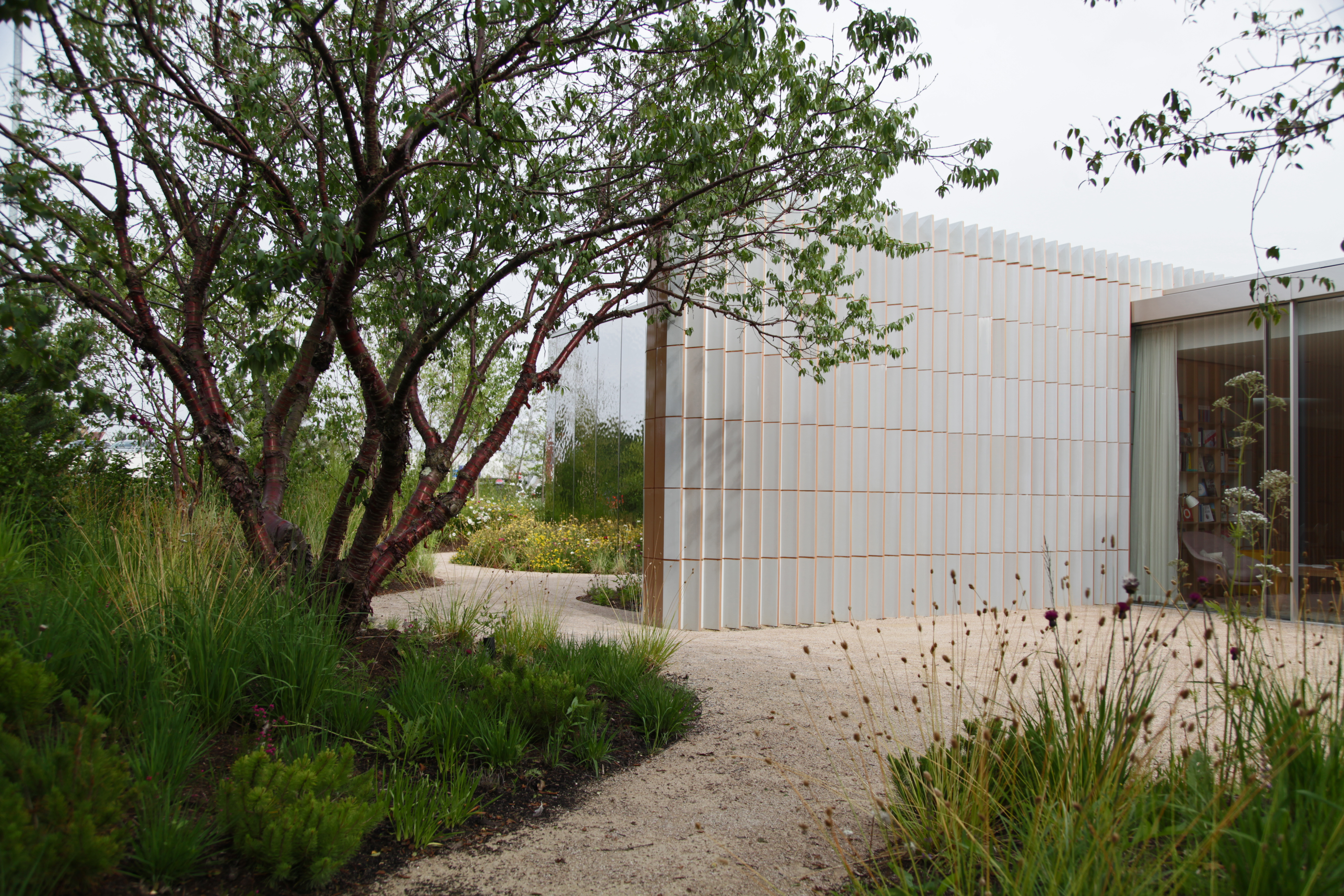 Sarah Price&#039;s mature garden at Maggie&#039;s Southapmton