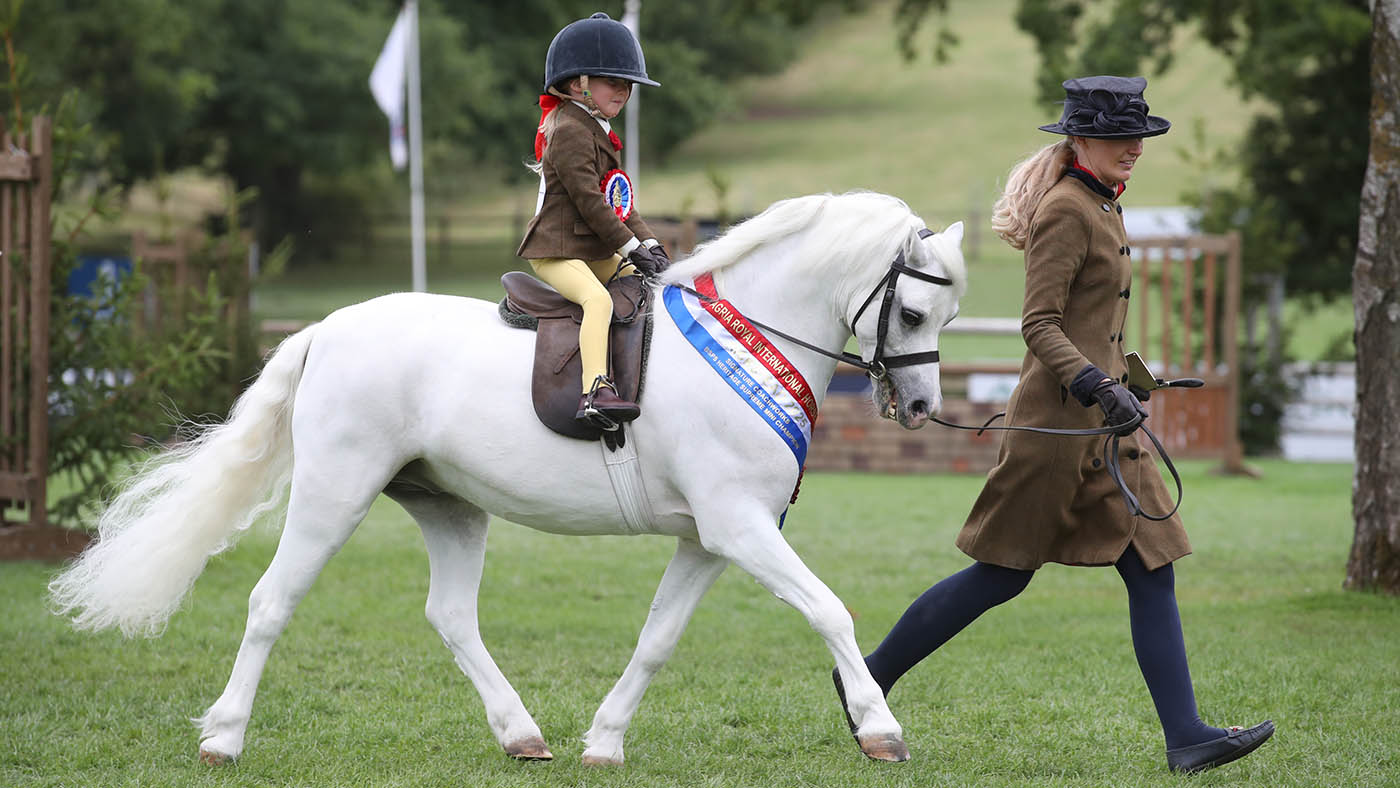 Katie White leads Rowfantina Hideaway Harry, ridden by Eliza Gredley-Scott, to stand mini M&amp;M supreme champion at the Agria Royal International Horse Show