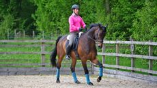 Counter canter