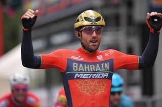 Colbrelli wins Gran Piemonte