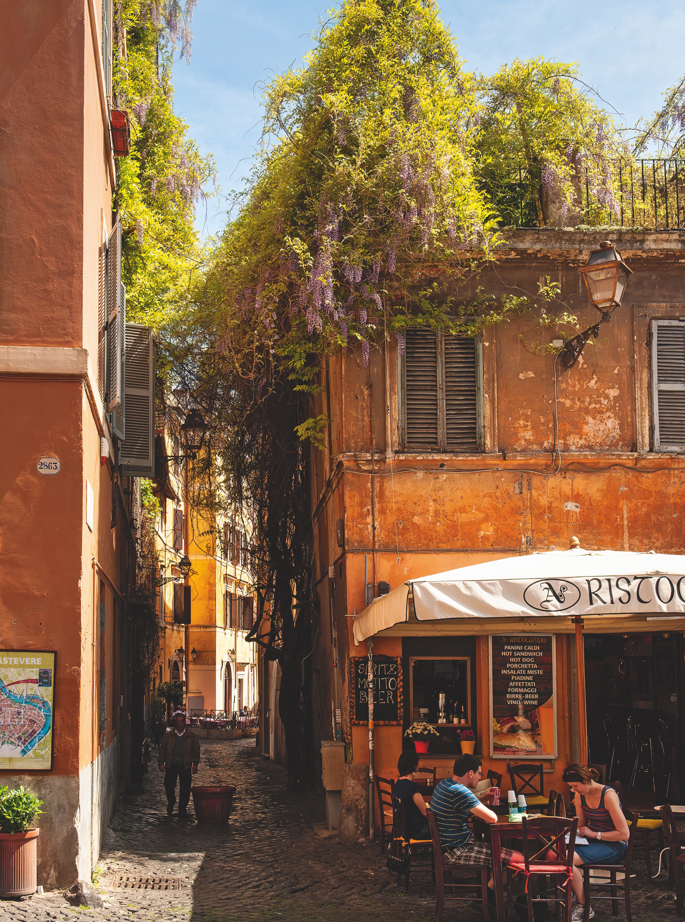 Ochre coloured building in Rome with wisteria growing up the side