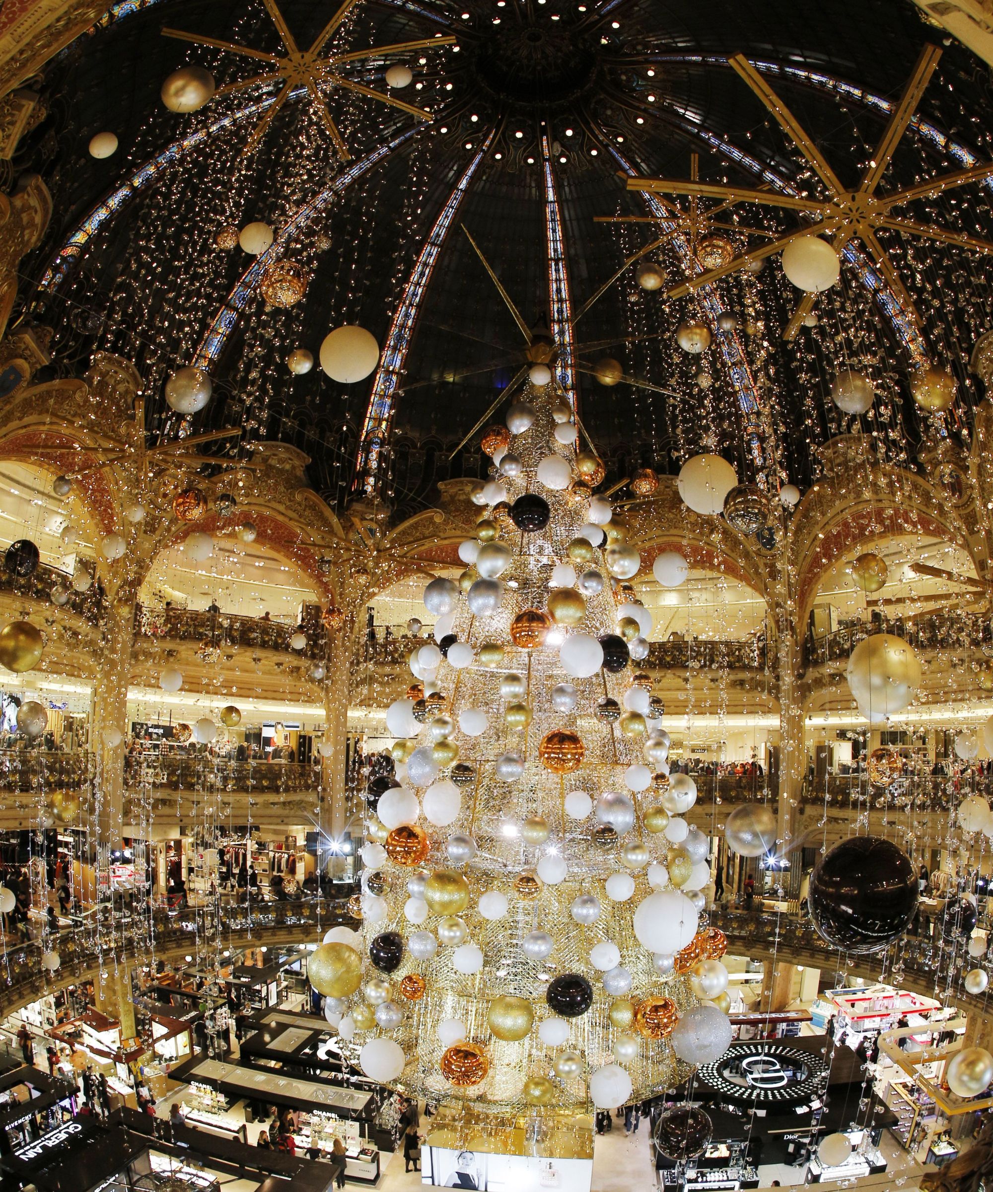 Galeries Lafayette tree