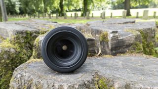 Front-on view of the Nikon Nikkor Z MC 105mm f/2.8 VR S sitting on a tree trunk