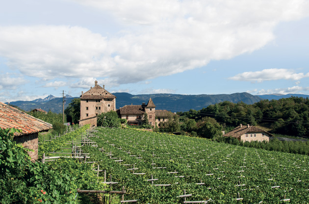 Eppan South Tyrol Italy, Pinot Bianco Italy