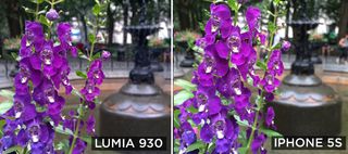 Nokia Lumia 930 Photo Comparison