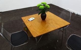 Wooden coffee table with a green plant decoration and silver steel chairs