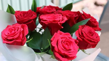 bouquet of red roses