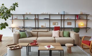 Beige sofa in front of shelving units