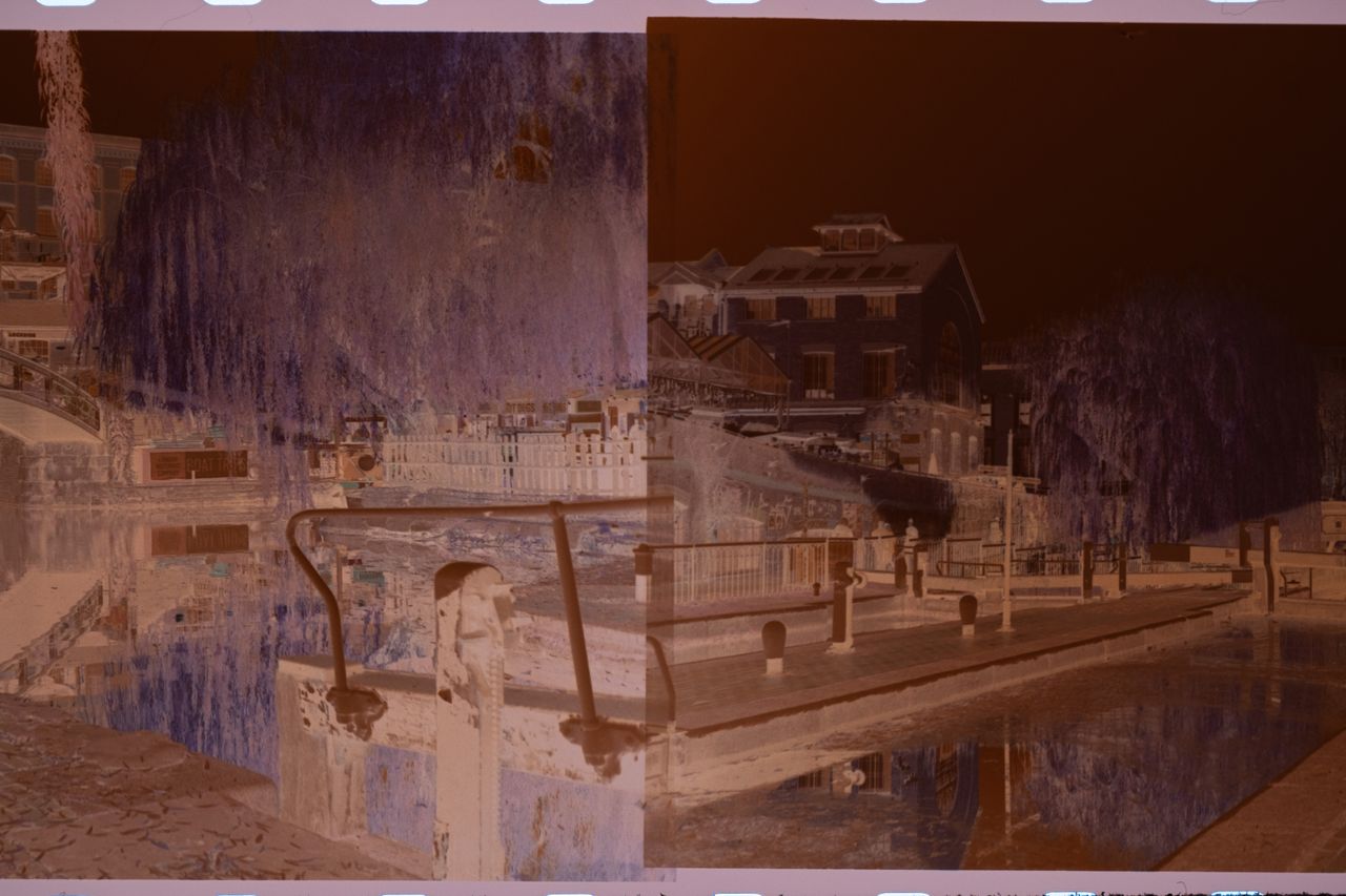 Developed 35 mm film negatives