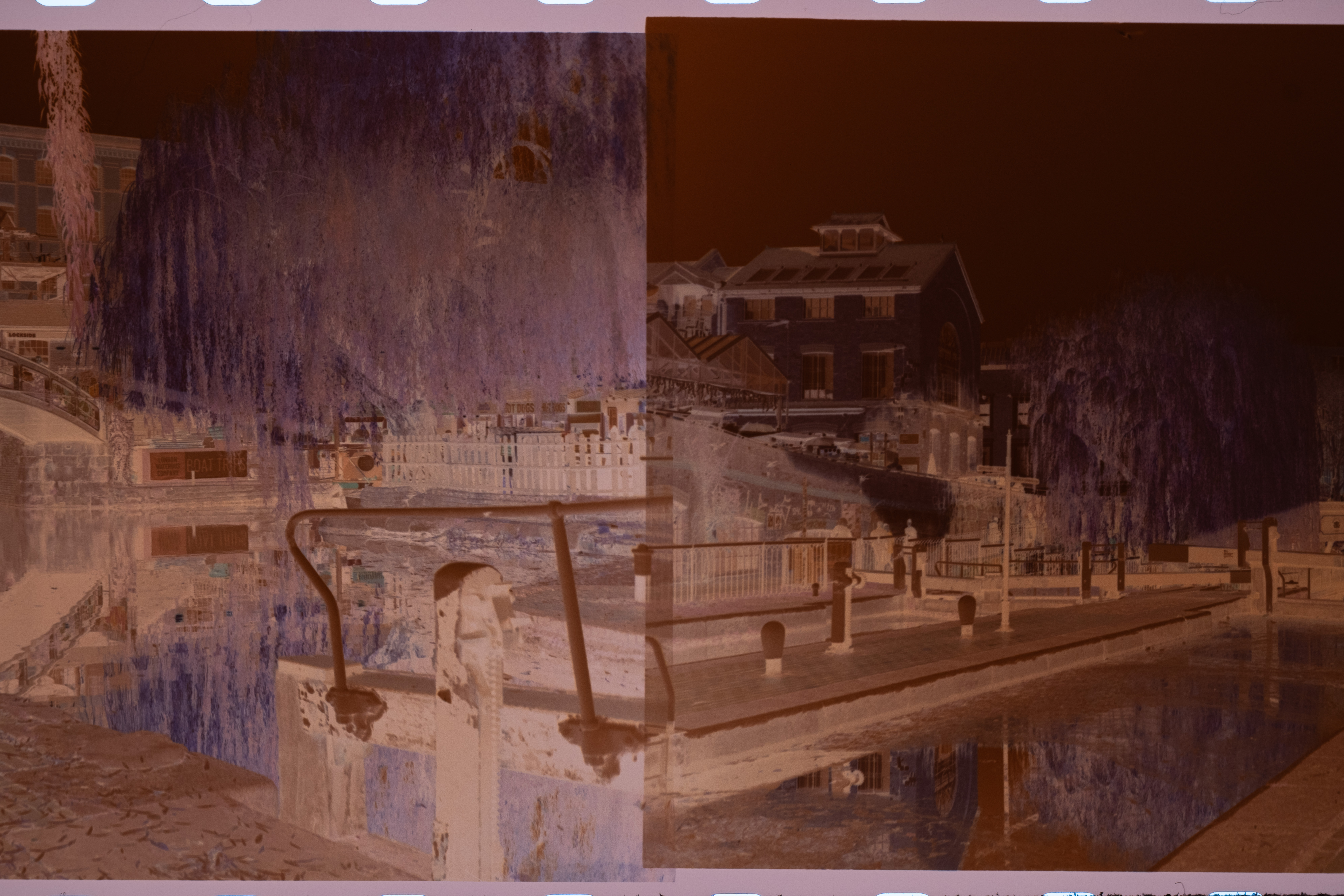 Developed 35 mm film negatives