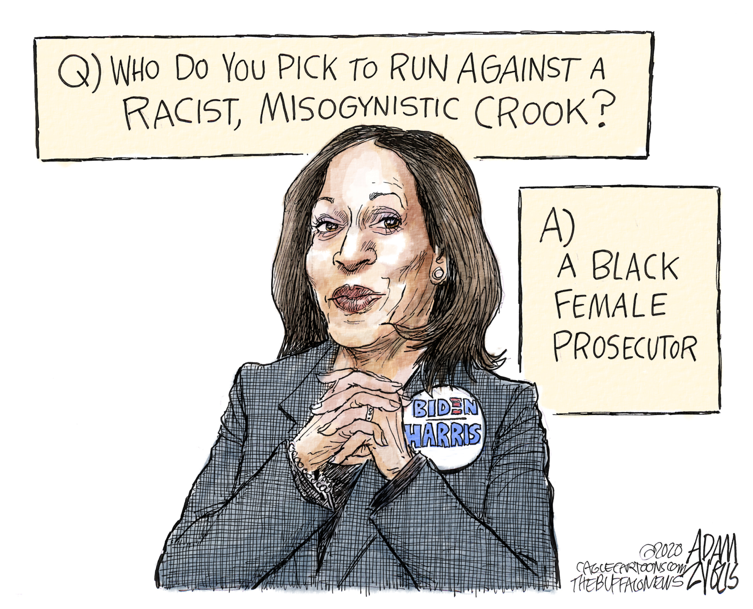 Political Cartoon U.S. Kamala Harris Joe Biden Vice President Pick  Democratic Ticket | The Week