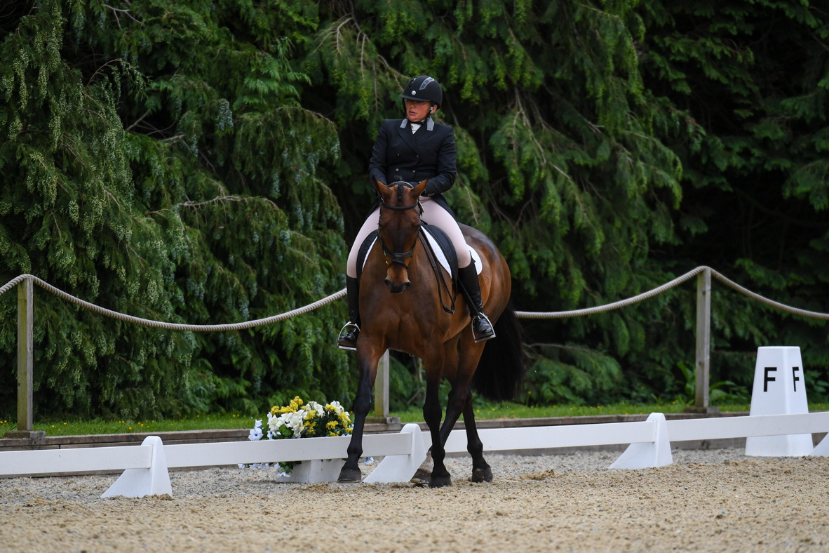 Little Tiger&amp;rsquo;s embryo transfer son Tiger Mail at Bicton in 2021