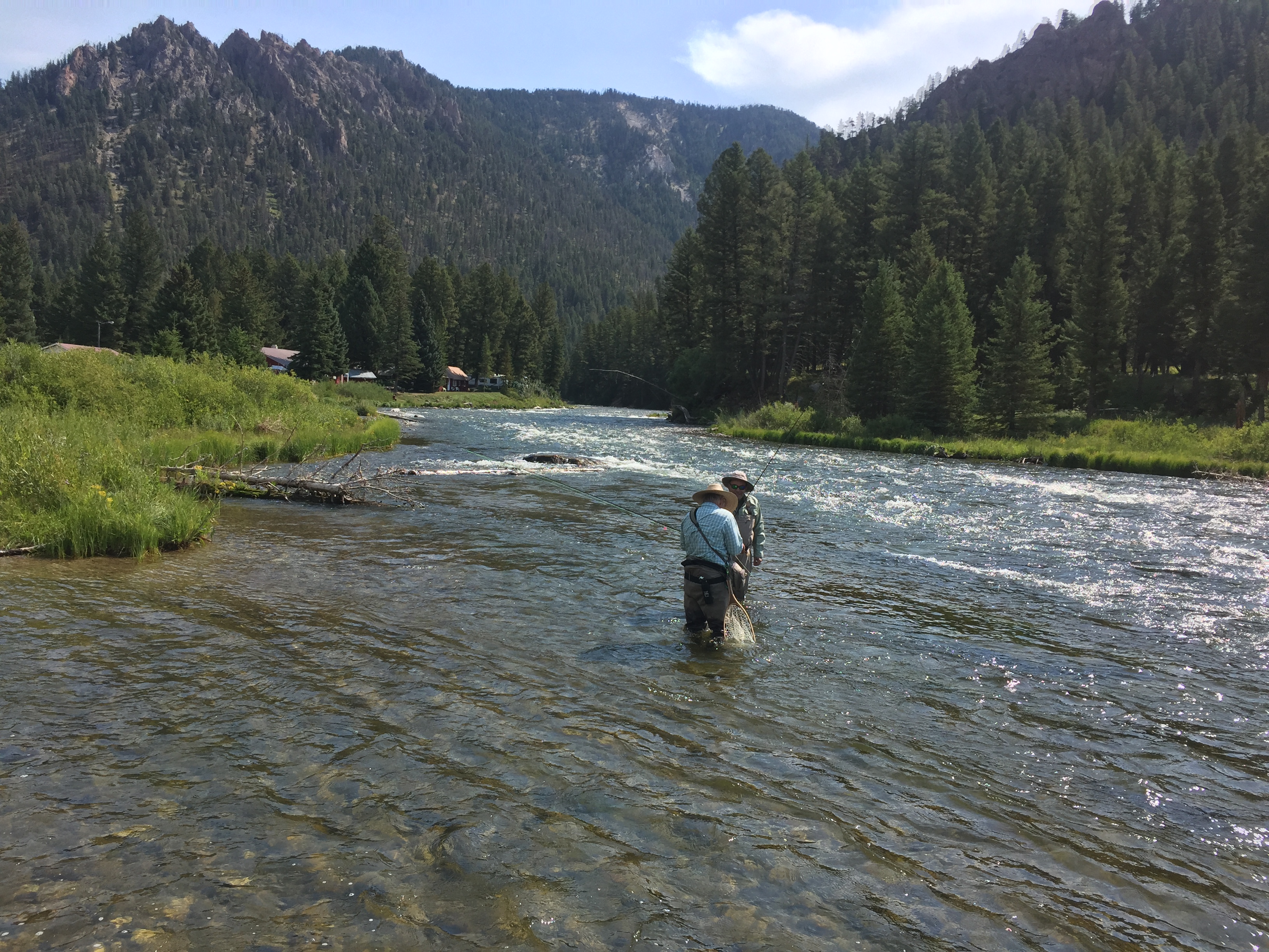 Two men stand in the Madison River in Montana, with mountains and trees around them, fly fishing.