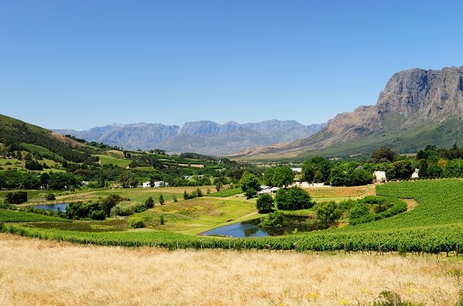 stellenbosch