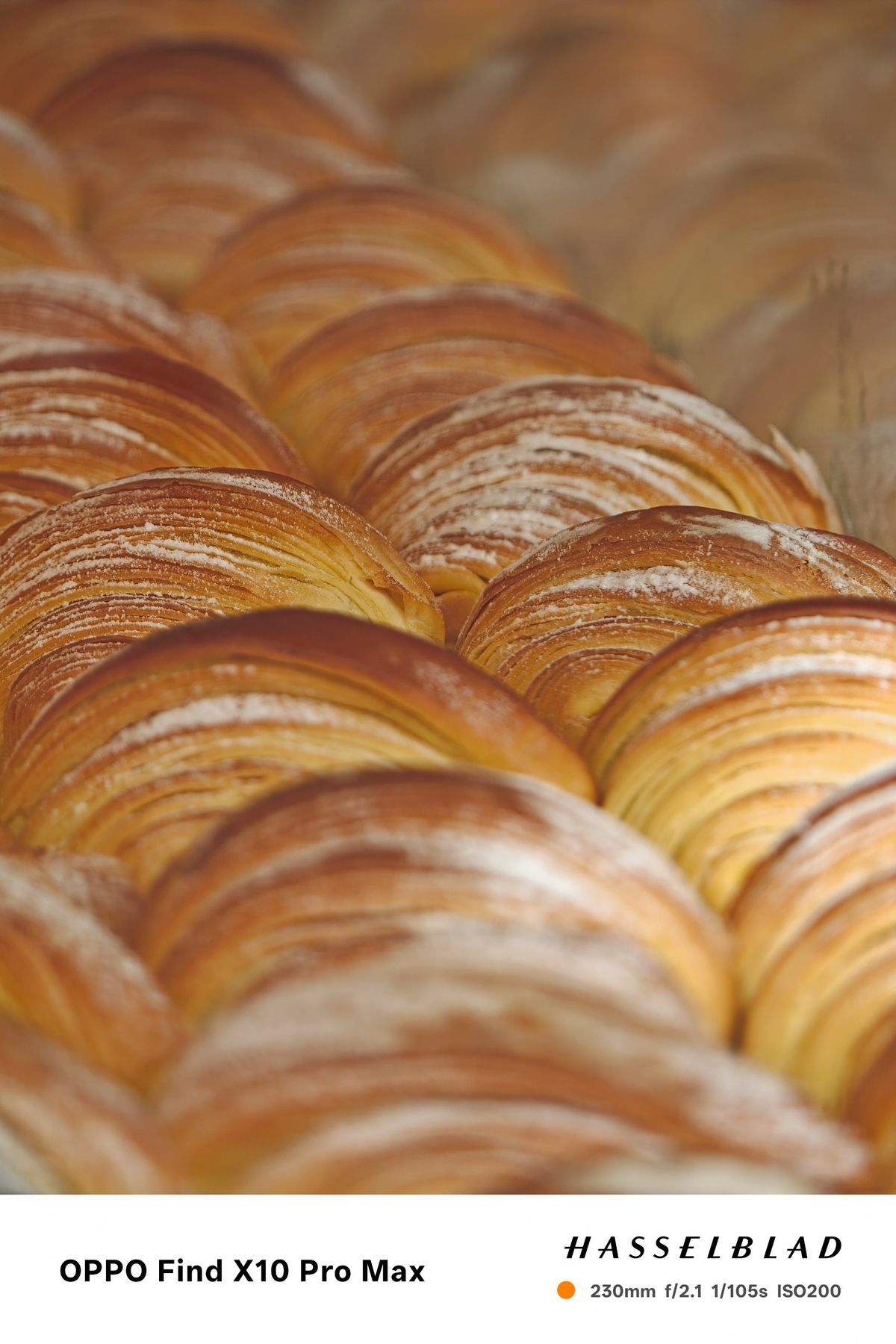 Close-up of rows of golden layered pastries dusted with sugar.