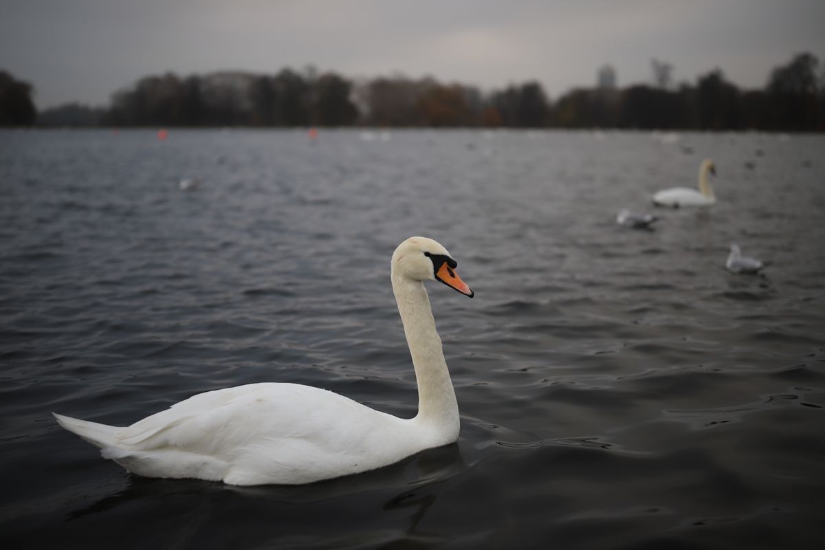 Canon EOS 6D Mark II with Sigma 40mm f/1.4 DG HSM Art, 1/1000 sec at f/1.4, ISO100